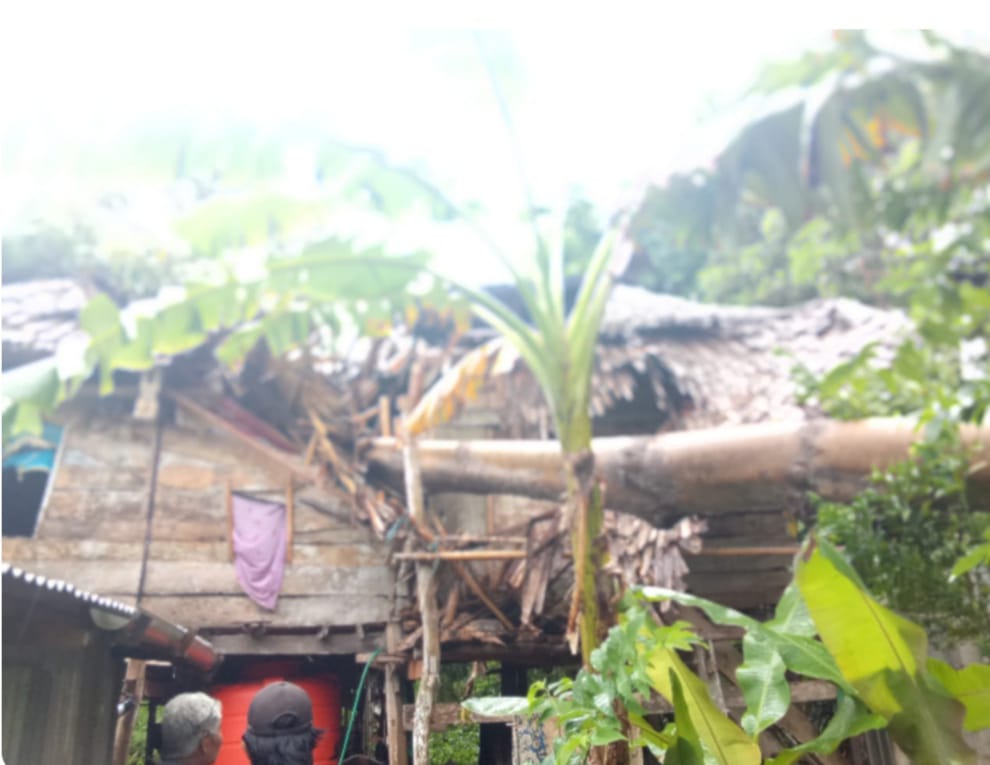 8a92f797-42c9-4a60-b8f0-f26efa5e509e