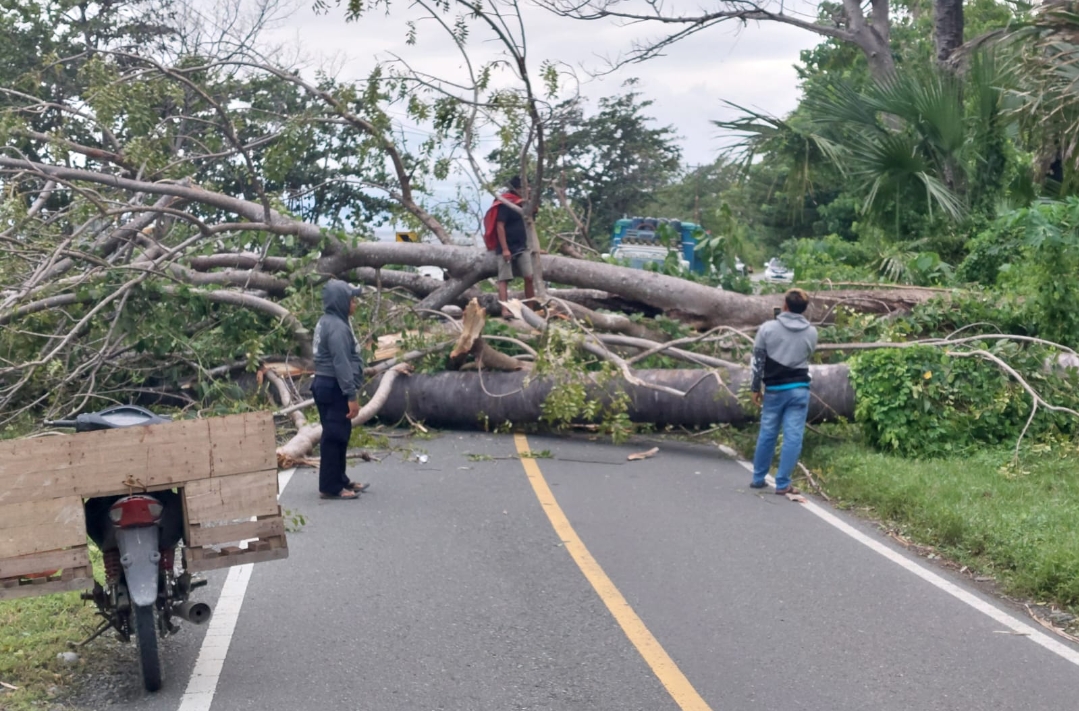 Screenshot_2024-07-12-22-50-32-28_6012fa4d4ddec268fc5c7112cbb265e7