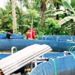 Screenshot_2024-08-26-09-20-58-13_6012fa4d4ddec268fc5c7112cbb265e7