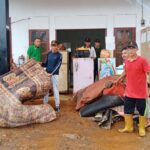 Screenshot_2024-08-27-11-55-09-08_6012fa4d4ddec268fc5c7112cbb265e7