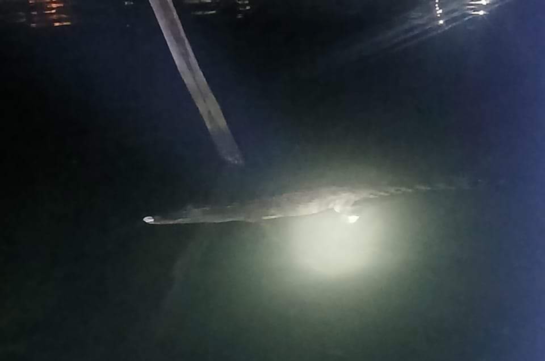 Screenshot_2024-09-11-01-42-36-08_6012fa4d4ddec268fc5c7112cbb265e7